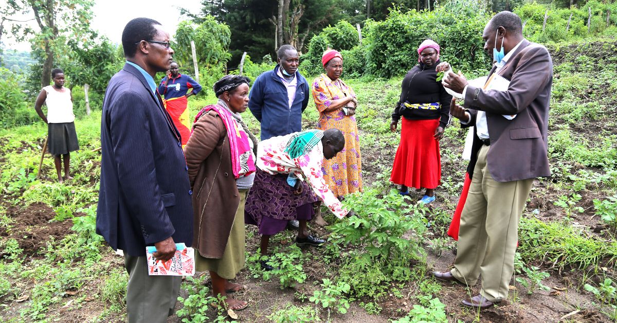 Farming for food security in Kenya
