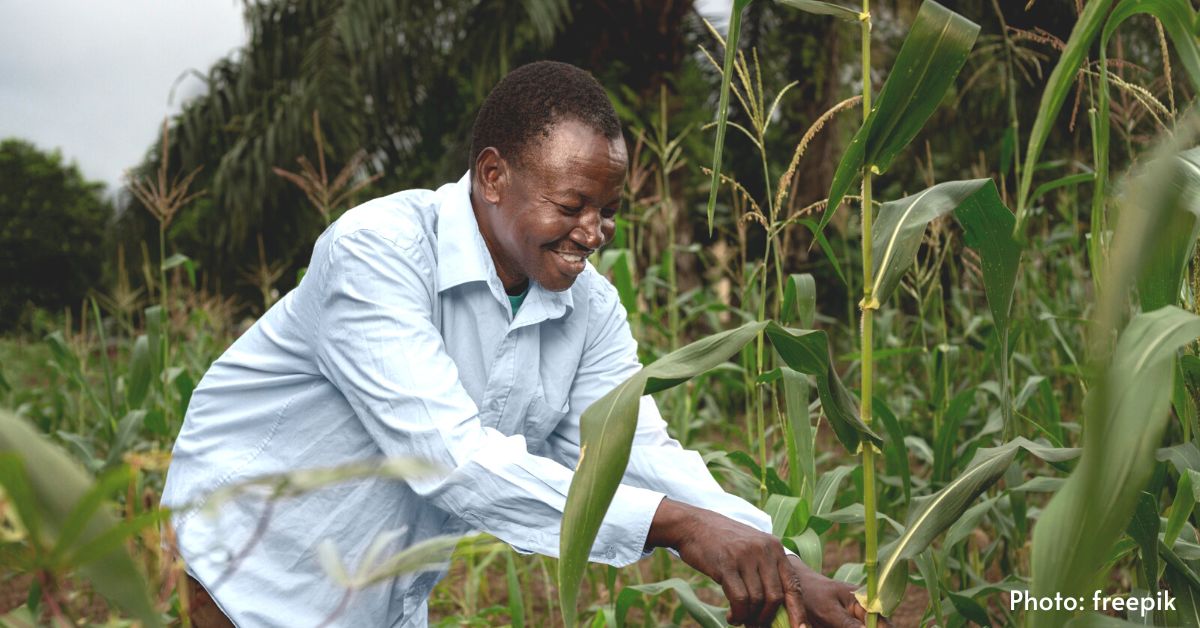 Giving A Voice To The Smallholder Farmers - KENAFF