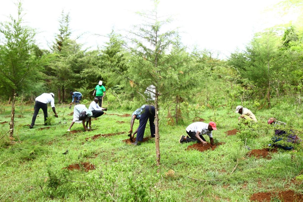 KENAFF and SlovakAid Host National Tree Planting Event in Baringo County
