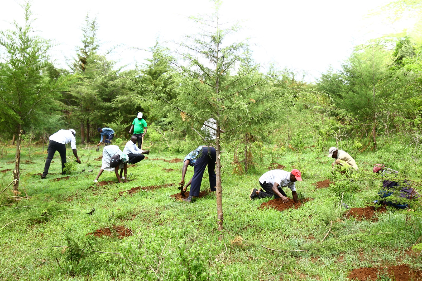 KENAFF and SlovakAid Host National Tree Planting Event in Baringo County