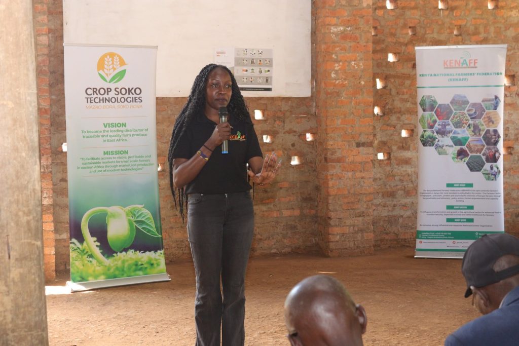 From Cash to Credit: How KENAFF and Partners Are Digitizing Uasin Gishu’s Agricultural Value Chains